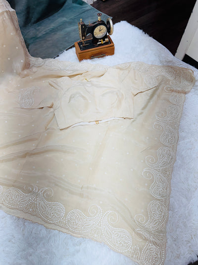 Elegant Cream Fancy Saree with Intricate White Embroidery & Matching Blouse