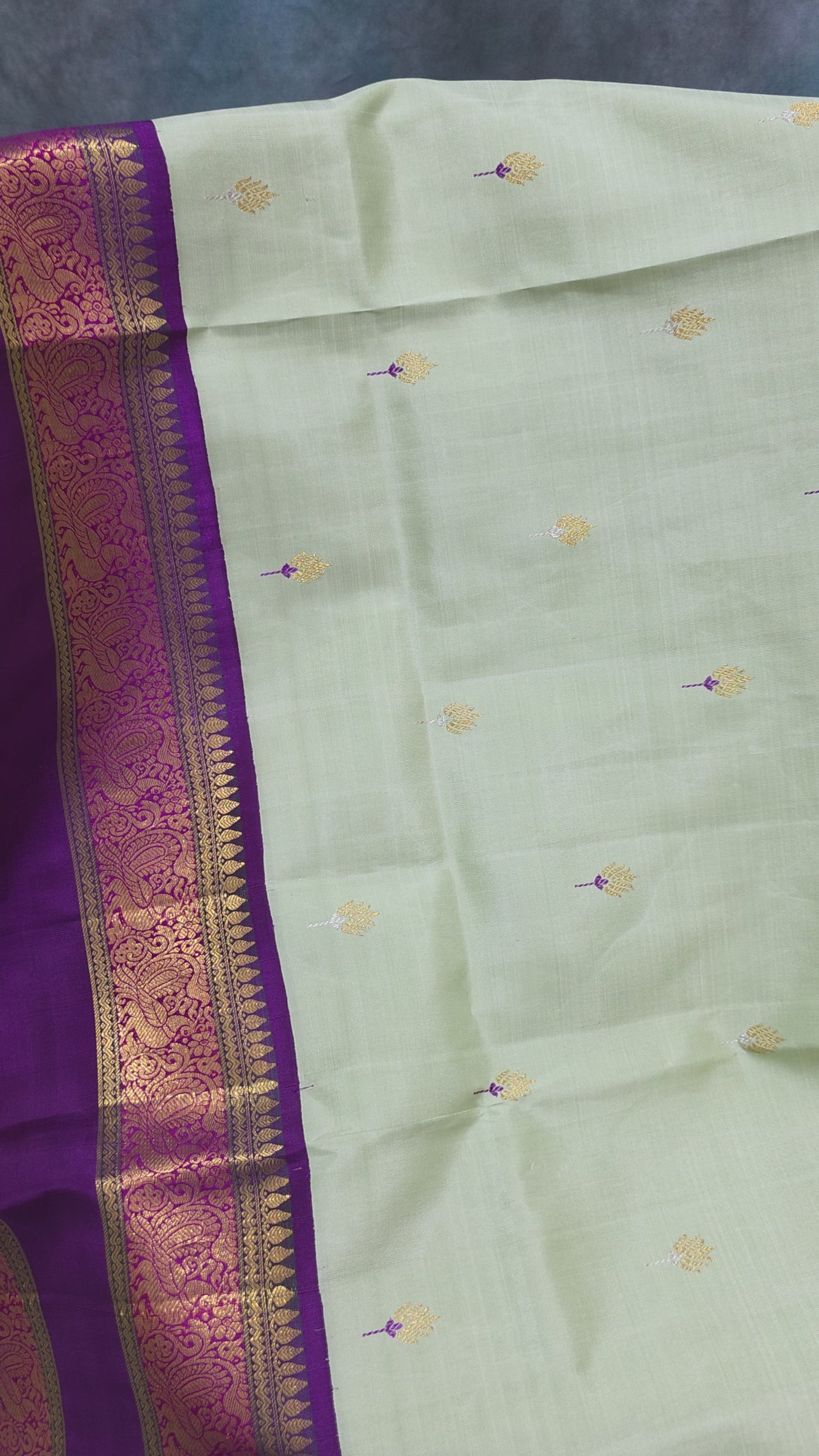 Light Green & Purple Kanchipattu Saree with Rich Zari Border and Embroidered Blouse